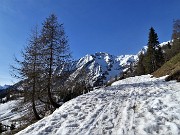 13 Da San Simone salgo alla Baita del Camoscio per prati con neve e fiori e per stradetta ancora innevata